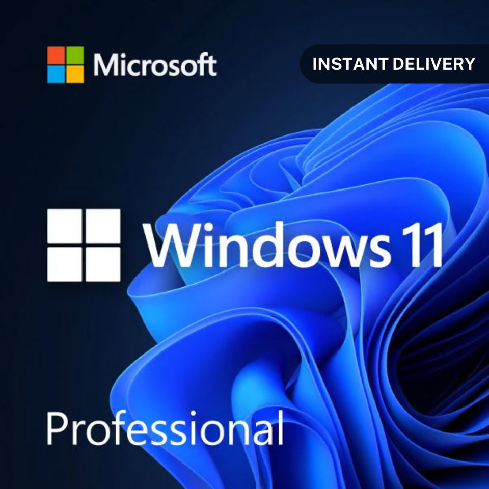Windows 11 Professional